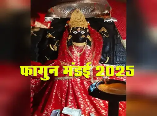 दंतेवाड़ा फागुन मेला 2025 - Bastariya Babu