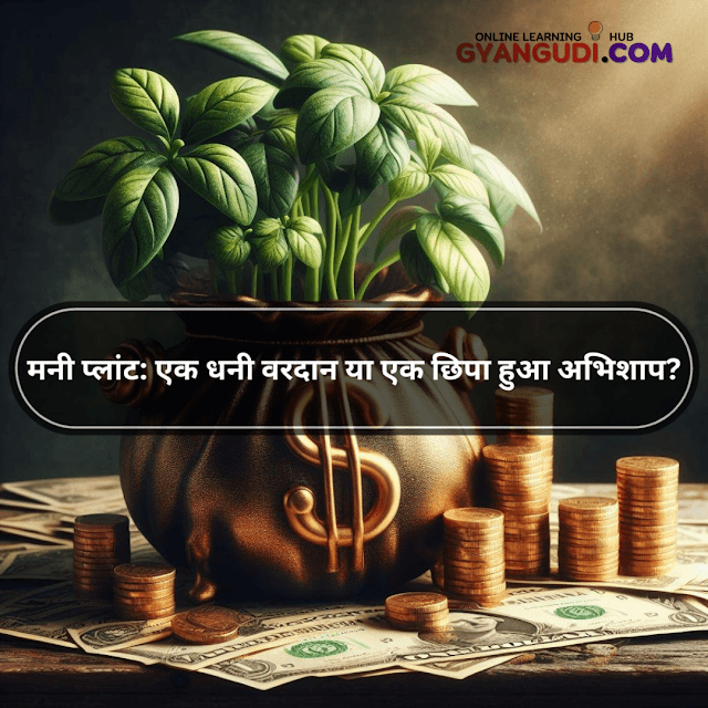 मनी प्लांट एक धनी वरदान या एक छिपा हुआ अभिशाप - Bastariya Babu